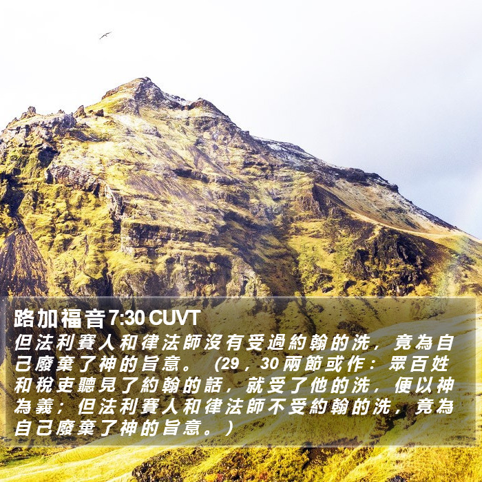 路 加 福 音 7:30 CUVT Bible Study