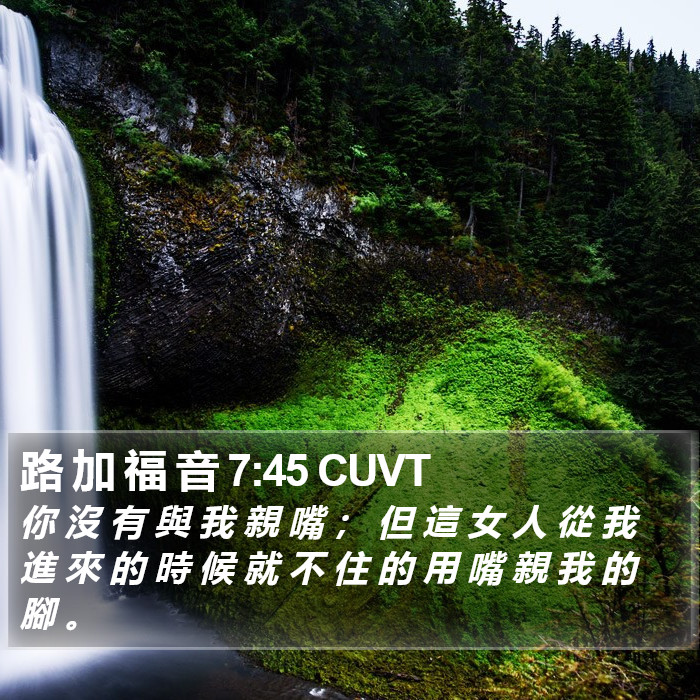路 加 福 音 7:45 CUVT Bible Study