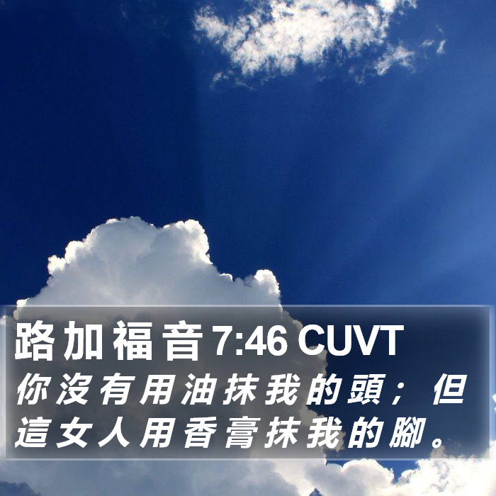 路 加 福 音 7:46 CUVT Bible Study