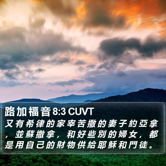 路 加 福 音 8:3 CUVT Bible Study