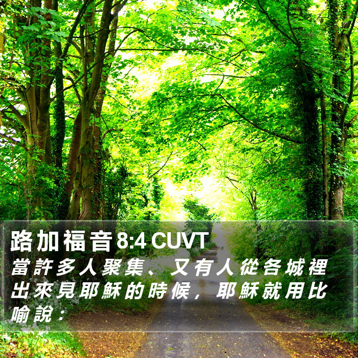 路 加 福 音 8:4 CUVT Bible Study