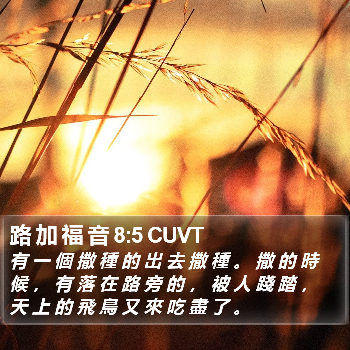 路 加 福 音 8:5 CUVT Bible Study