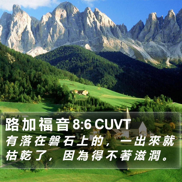 路 加 福 音 8:6 CUVT Bible Study