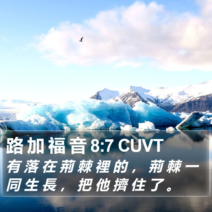 路 加 福 音 8:7 CUVT Bible Study