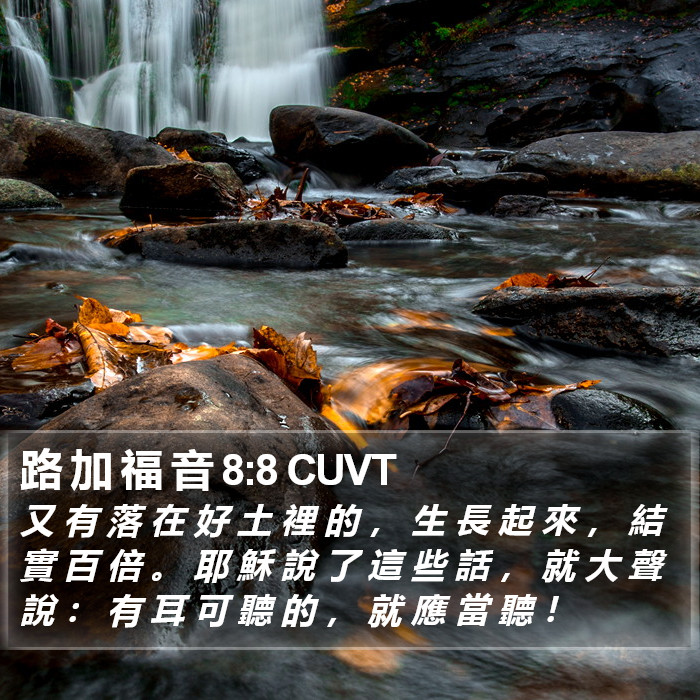 路 加 福 音 8:8 CUVT Bible Study