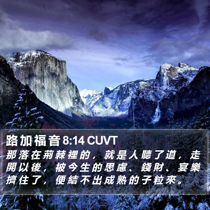 路 加 福 音 8:14 CUVT Bible Study