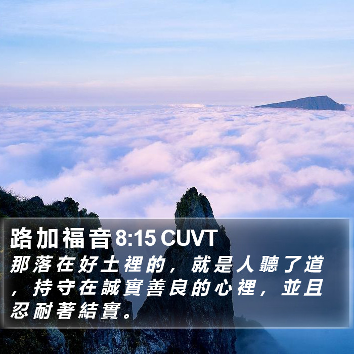 路 加 福 音 8:15 CUVT Bible Study