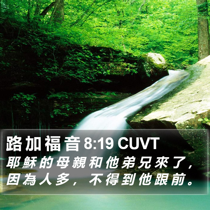 路 加 福 音 8:19 CUVT Bible Study