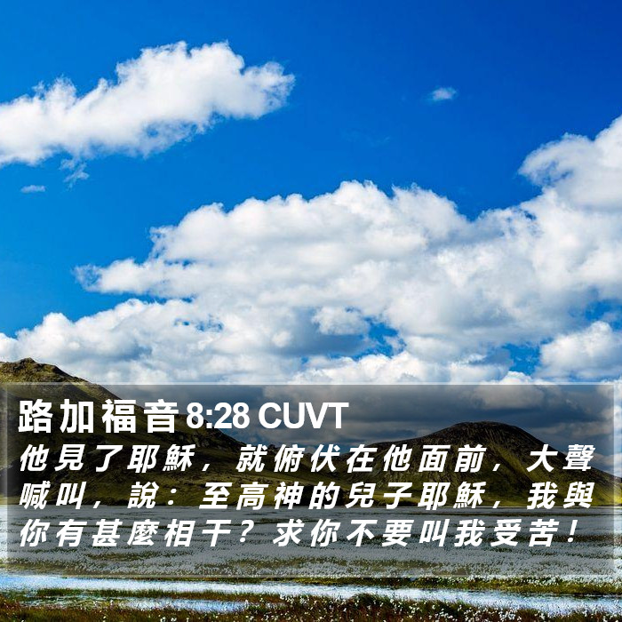 路 加 福 音 8:28 CUVT Bible Study