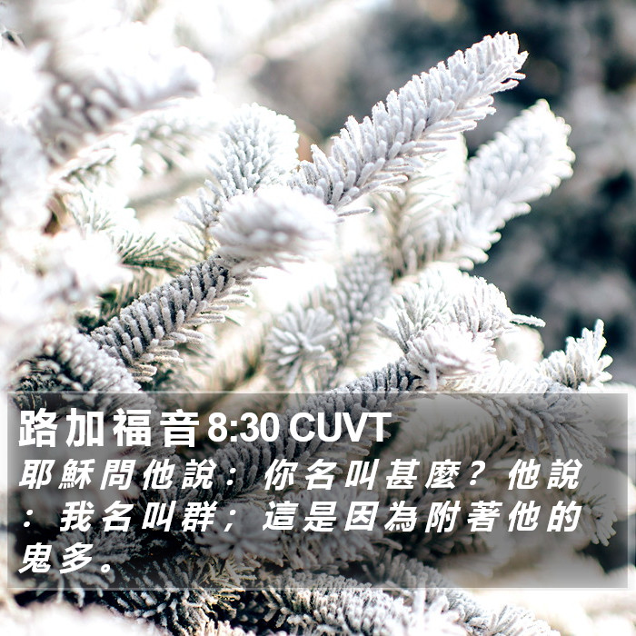 路 加 福 音 8:30 CUVT Bible Study