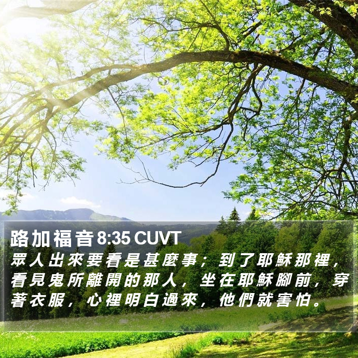 路 加 福 音 8:35 CUVT Bible Study