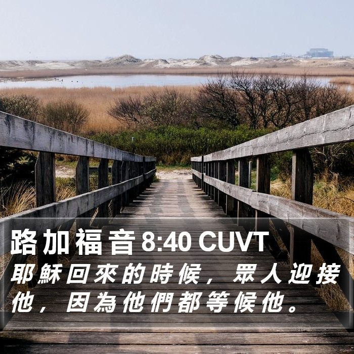 路 加 福 音 8:40 CUVT Bible Study