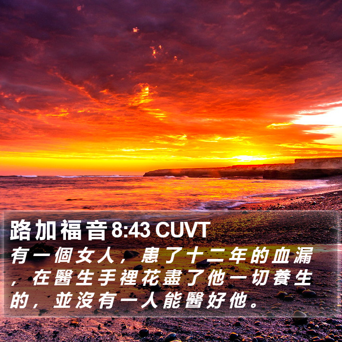 路 加 福 音 8:43 CUVT Bible Study