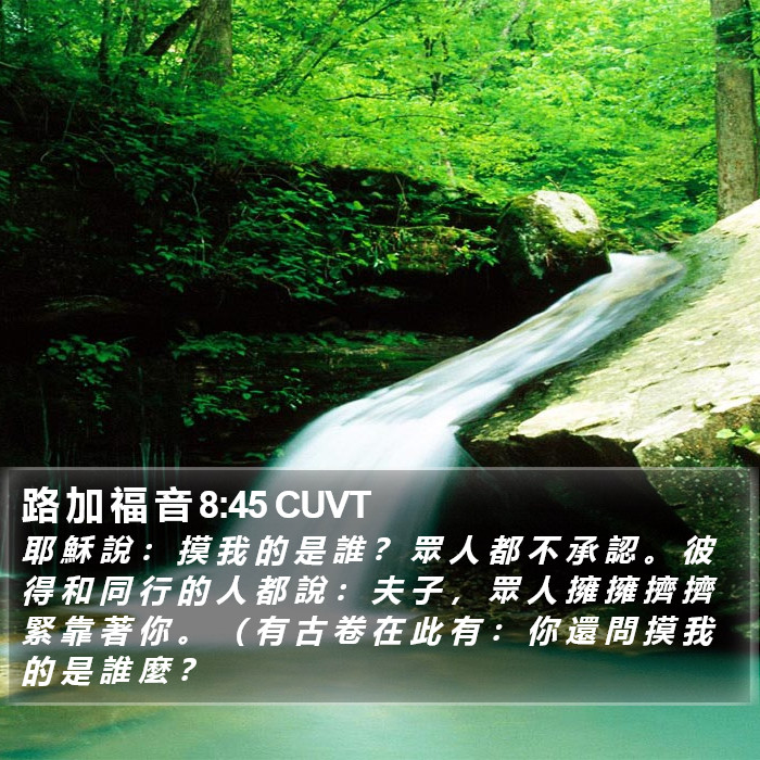 路 加 福 音 8:45 CUVT Bible Study