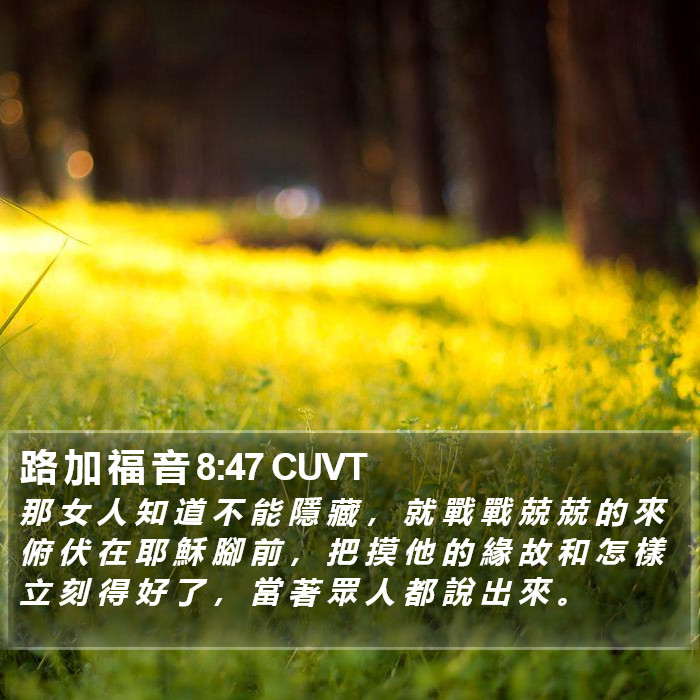 路 加 福 音 8:47 CUVT Bible Study