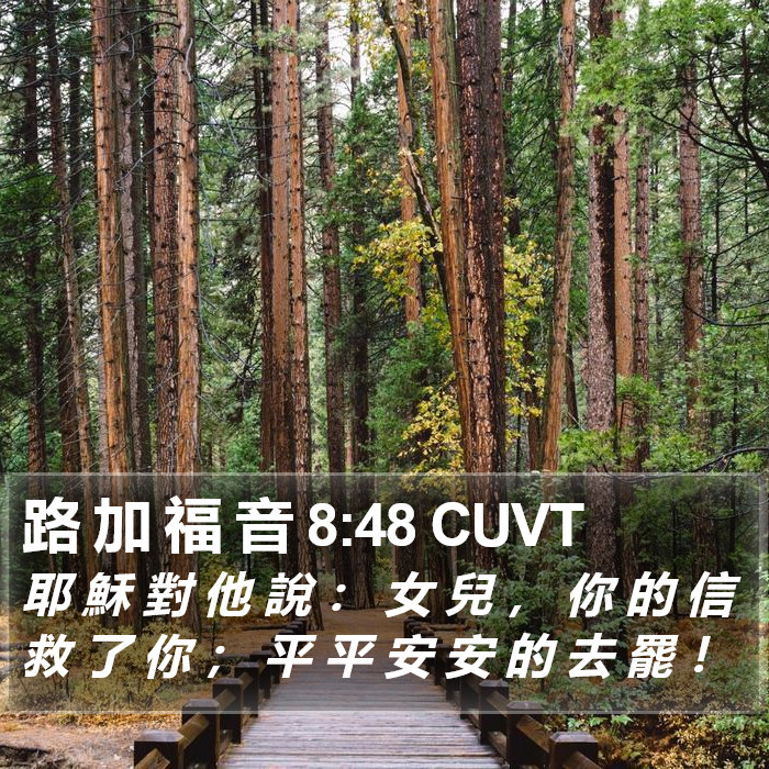 路 加 福 音 8:48 CUVT Bible Study