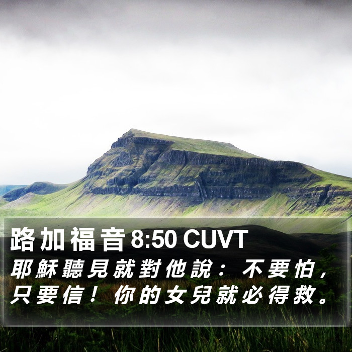 路 加 福 音 8:50 CUVT Bible Study