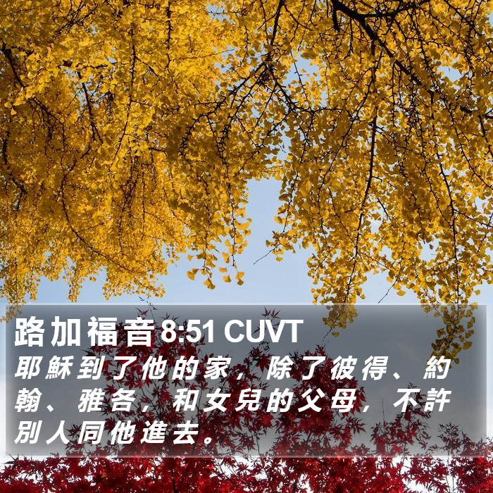 路 加 福 音 8:51 CUVT Bible Study