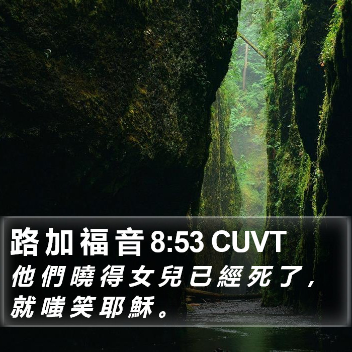 路 加 福 音 8:53 CUVT Bible Study