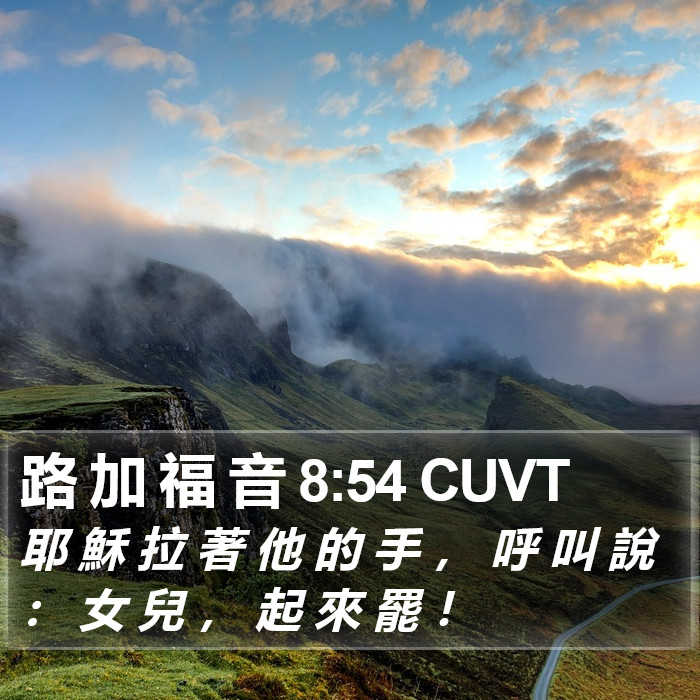 路 加 福 音 8:54 CUVT Bible Study