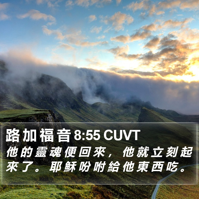 路 加 福 音 8:55 CUVT Bible Study