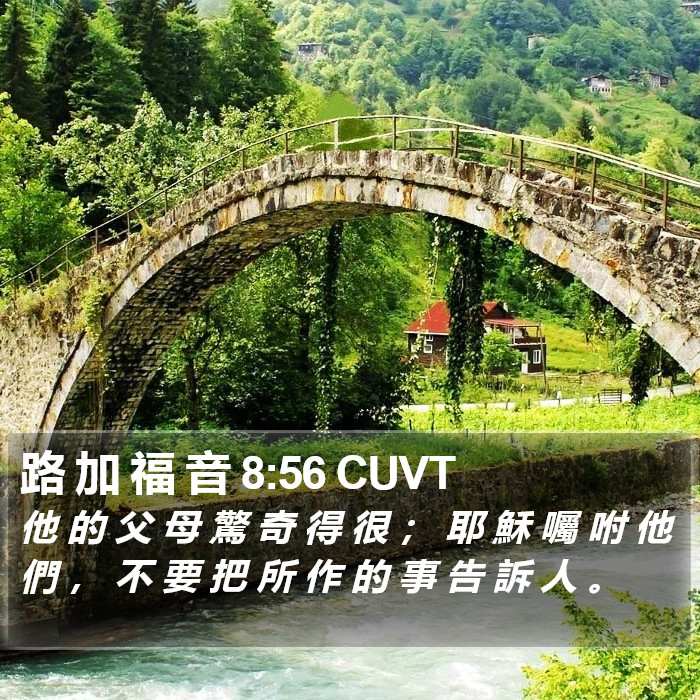 路 加 福 音 8:56 CUVT Bible Study