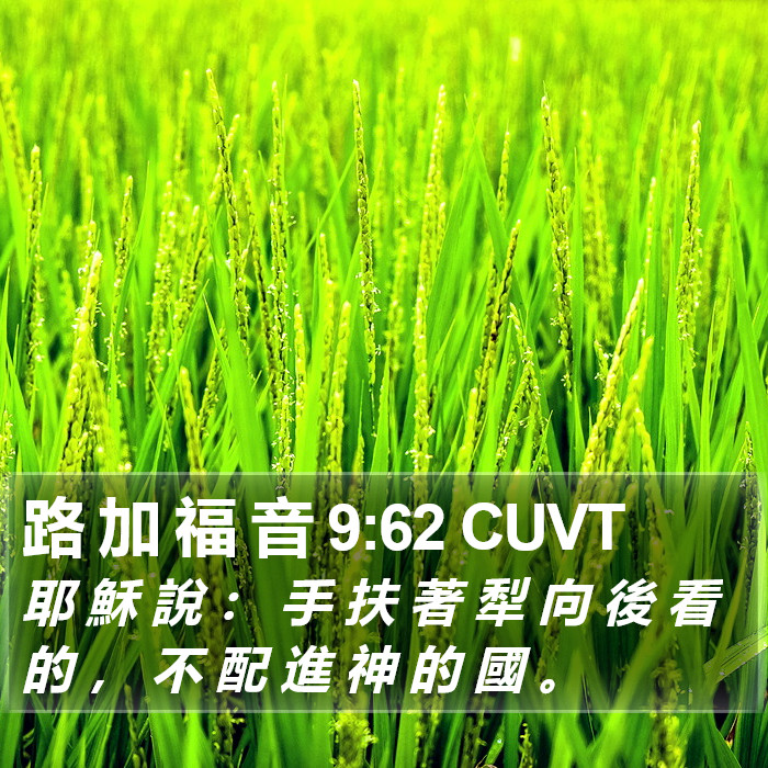 路 加 福 音 9:62 CUVT Bible Study