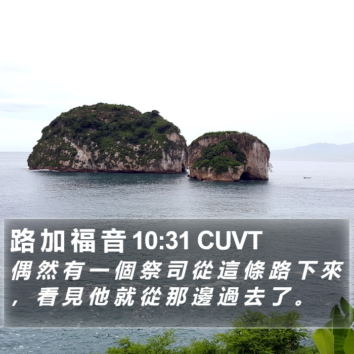 路 加 福 音 10:31 CUVT Bible Study