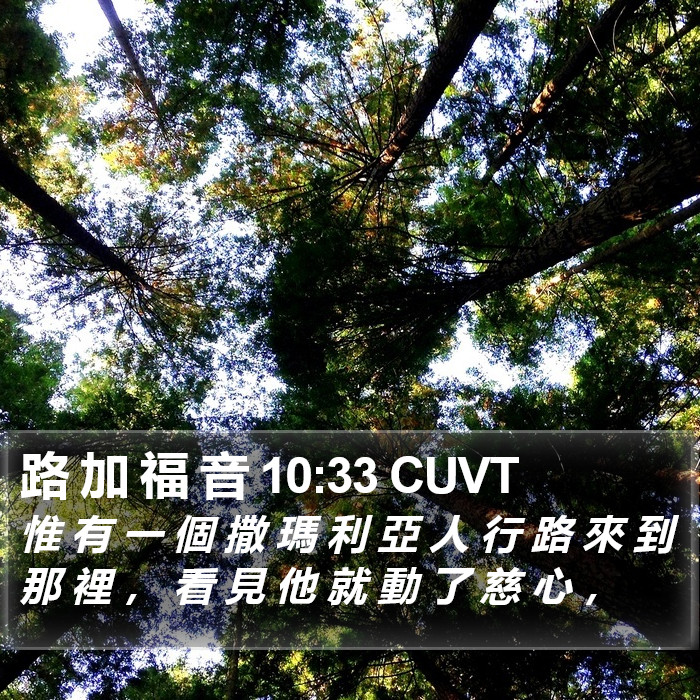 路 加 福 音 10:33 CUVT Bible Study