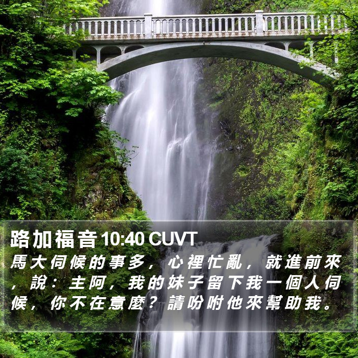 路 加 福 音 10:40 CUVT Bible Study