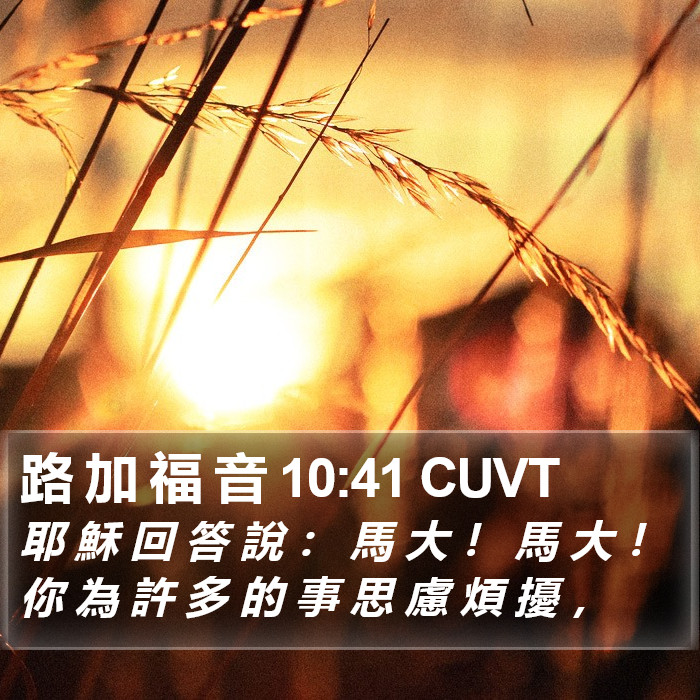路 加 福 音 10:41 CUVT Bible Study