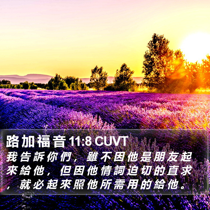 路 加 福 音 11:8 CUVT Bible Study