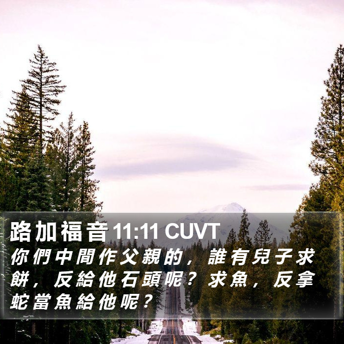 路 加 福 音 11:11 CUVT Bible Study