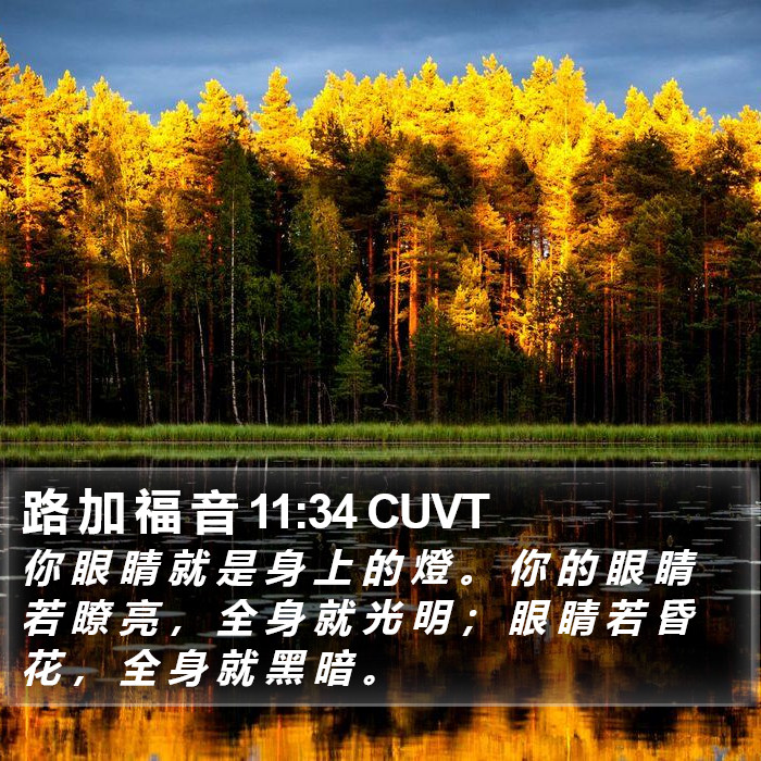路 加 福 音 11:34 CUVT Bible Study
