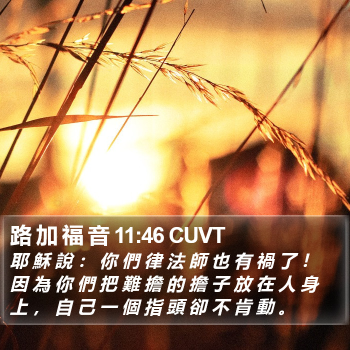 路 加 福 音 11:46 CUVT Bible Study