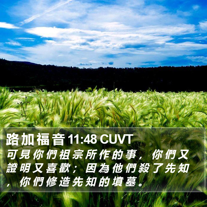 路 加 福 音 11:48 CUVT Bible Study