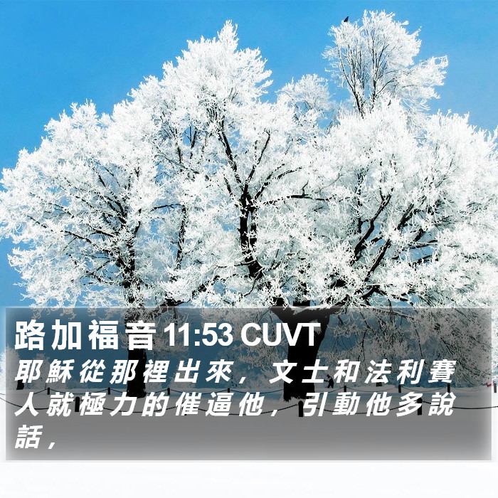 路 加 福 音 11:53 CUVT Bible Study