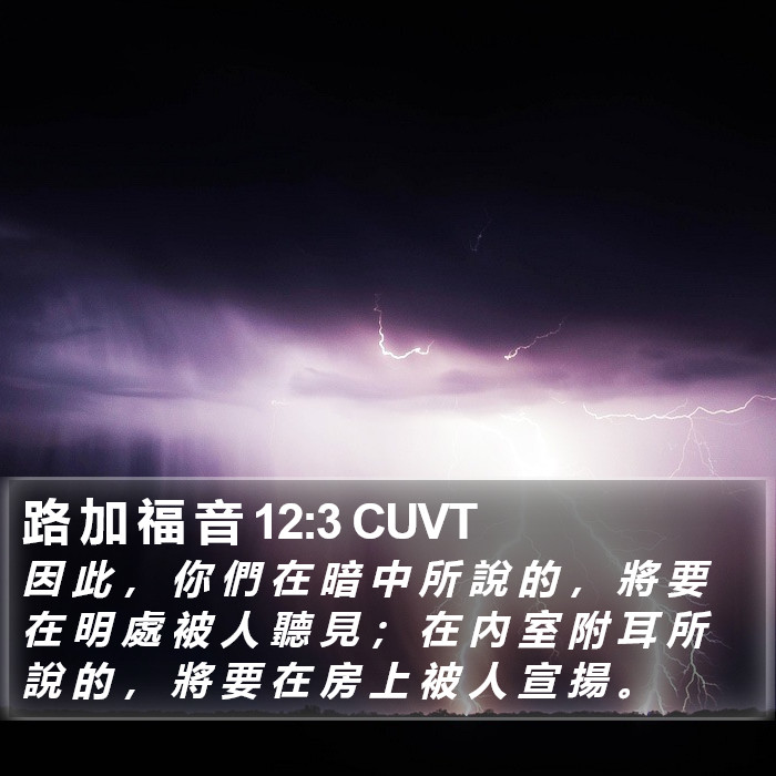 路 加 福 音 12:3 CUVT Bible Study