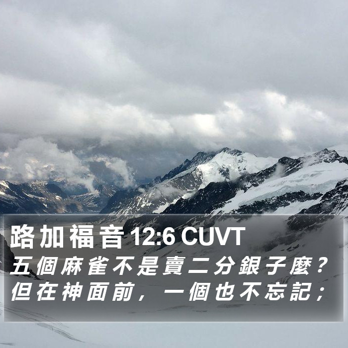 路 加 福 音 12:6 CUVT Bible Study