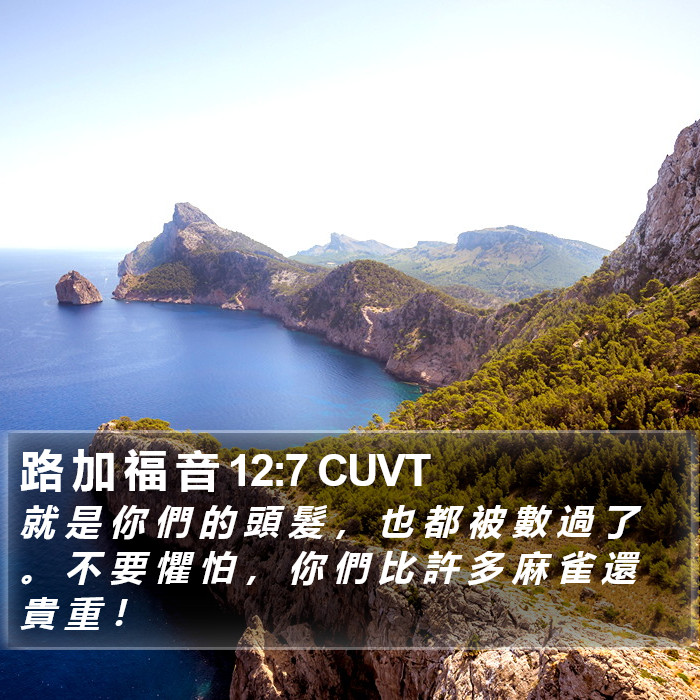路 加 福 音 12:7 CUVT Bible Study