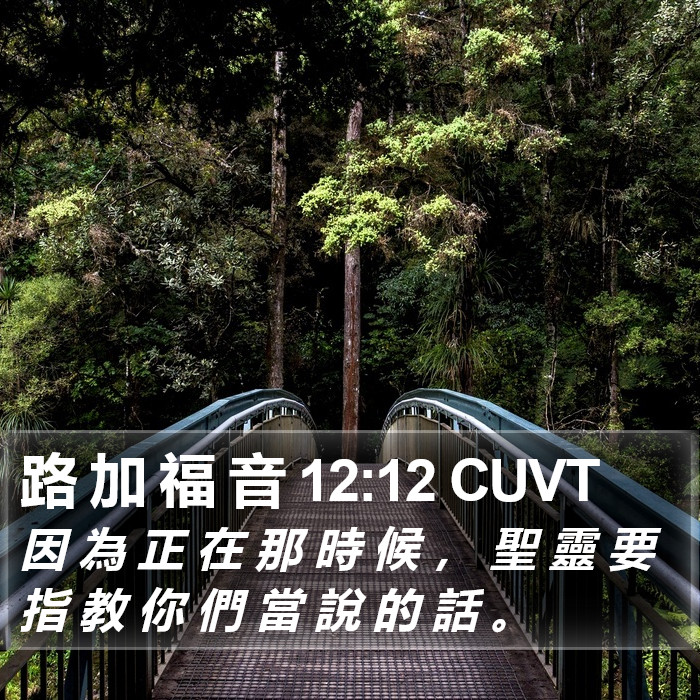 路 加 福 音 12:12 CUVT Bible Study