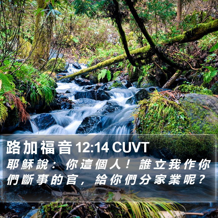 路 加 福 音 12:14 CUVT Bible Study