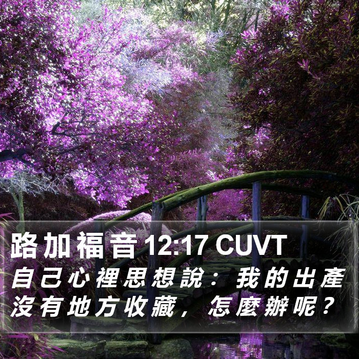 路 加 福 音 12:17 CUVT Bible Study