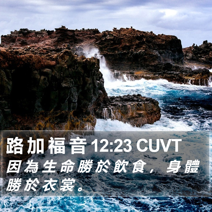 路 加 福 音 12:23 CUVT Bible Study