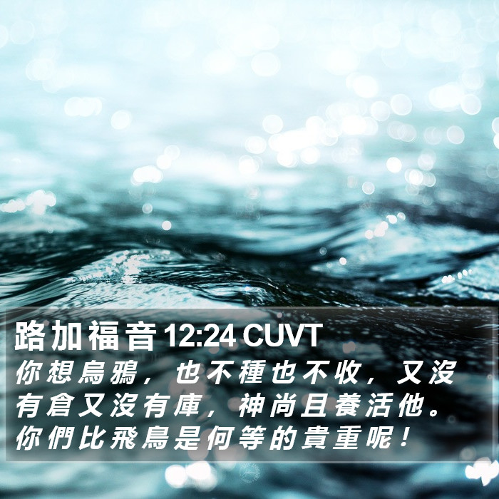 路 加 福 音 12:24 CUVT Bible Study