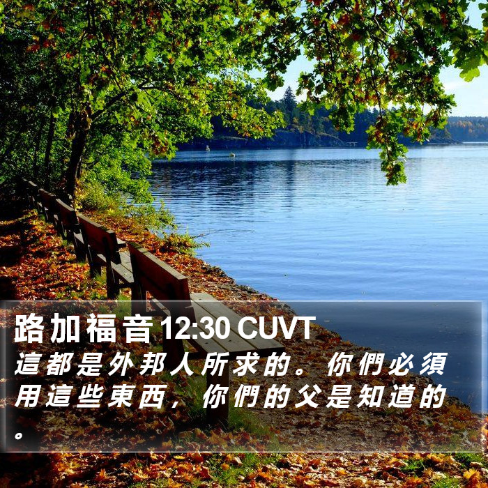 路 加 福 音 12:30 CUVT Bible Study