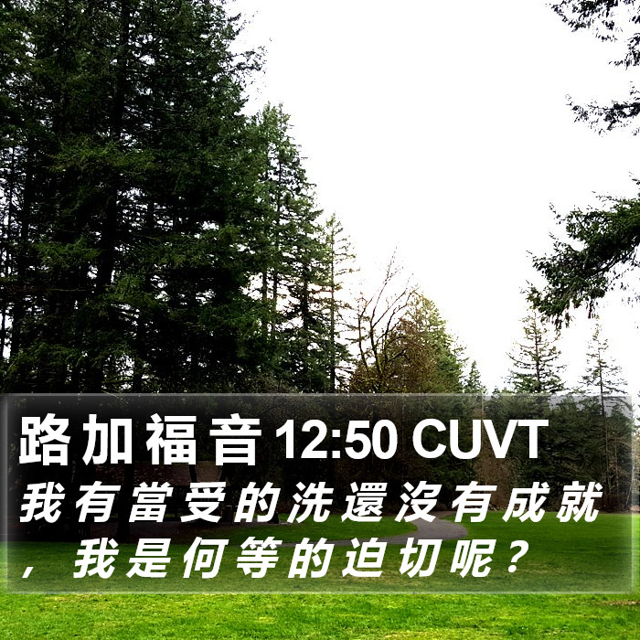 路 加 福 音 12:50 CUVT Bible Study