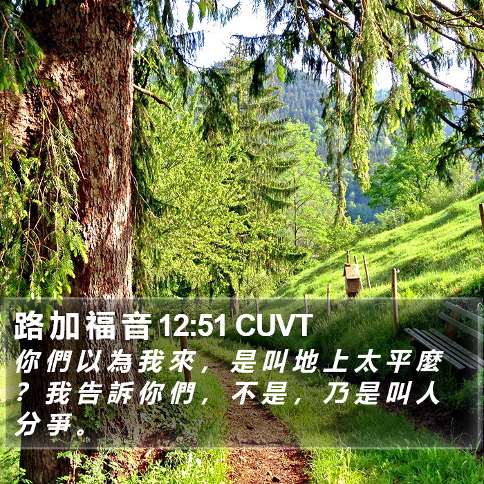 路 加 福 音 12:51 CUVT Bible Study
