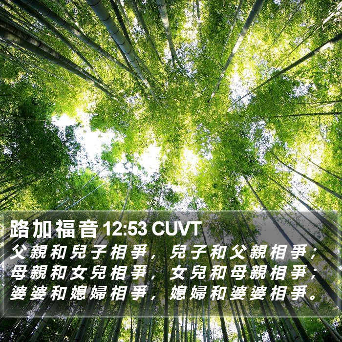 路 加 福 音 12:53 CUVT Bible Study