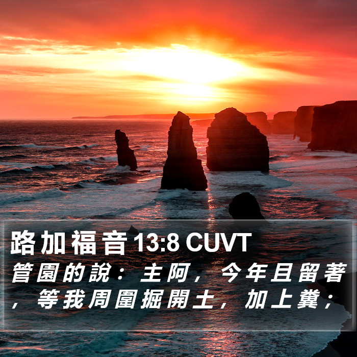 路 加 福 音 13:8 CUVT Bible Study